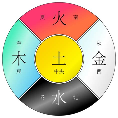 五行 元素 屁股有毛吗